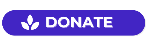 2024_cta-money-1.png