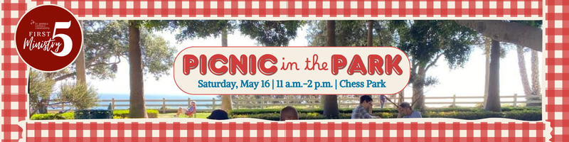 2026 picnic in the park ty 800 x 200 px