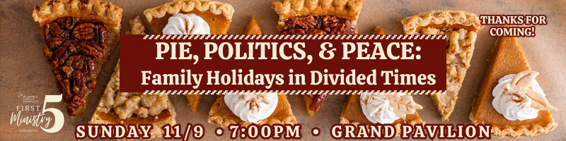 pie politics peace 800 x 200 thank you